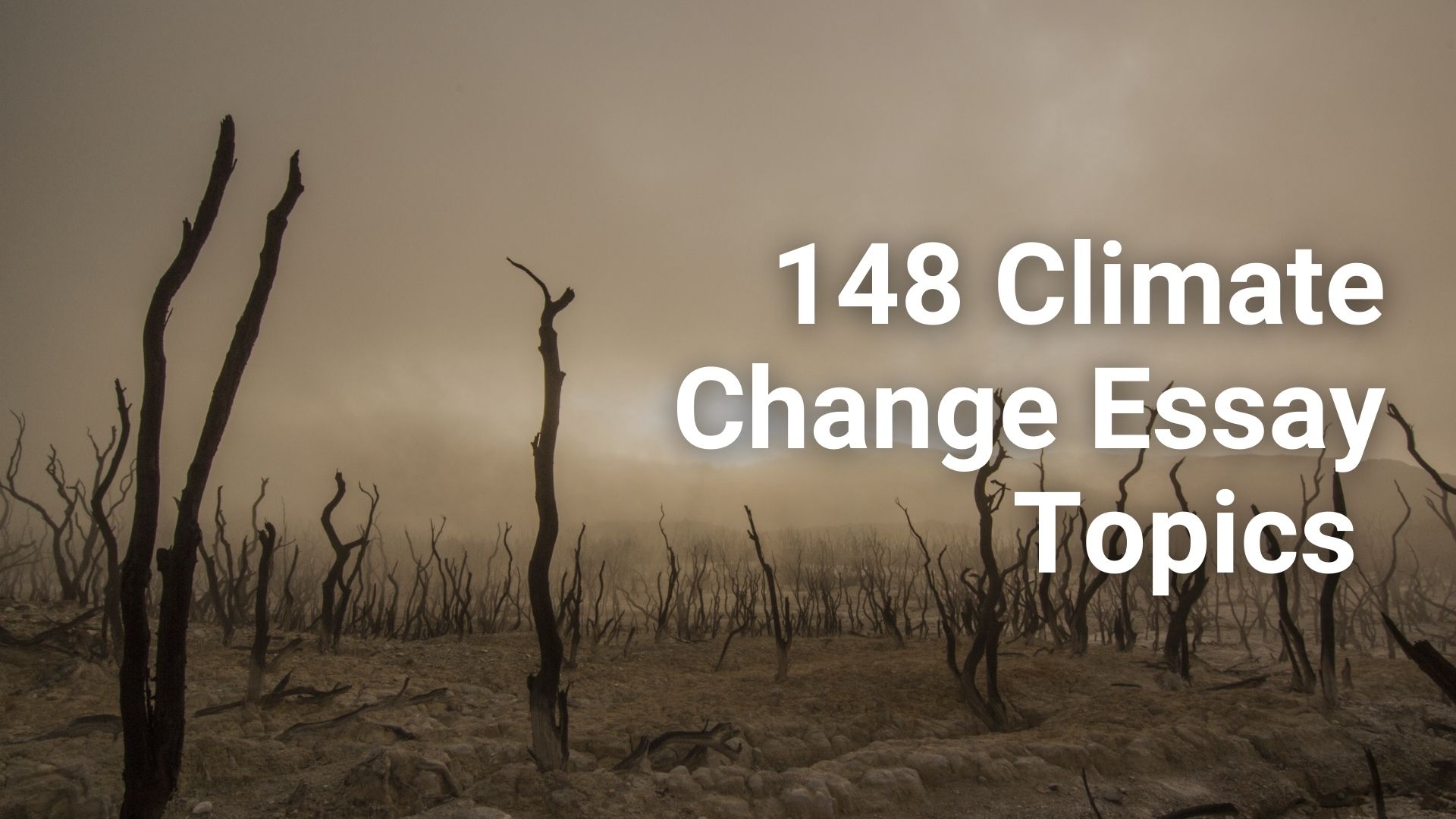 148 Thought-Provoking Climate Change Essay Topics